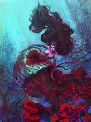 Jellyfish (MerMay) Jellyfish (MerMay)
